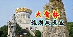 特级黄片美女护士掰开逼逼直播中国浙江-绍兴大香林旅游风景区